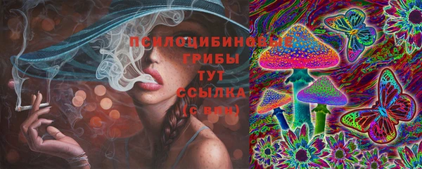 дмт Белокуриха