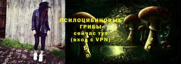 сатива Балабаново