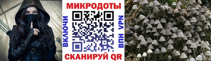 Псилоцибиновые грибы мицелий  что такое   Кораблино 