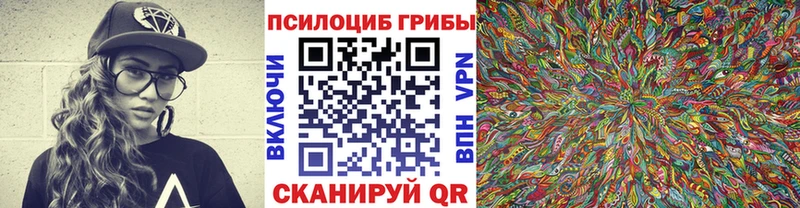 Галлюциногенные грибы Psilocybe Кораблино