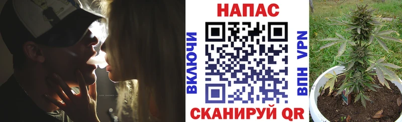 Шишки марихуана конопля Кораблино